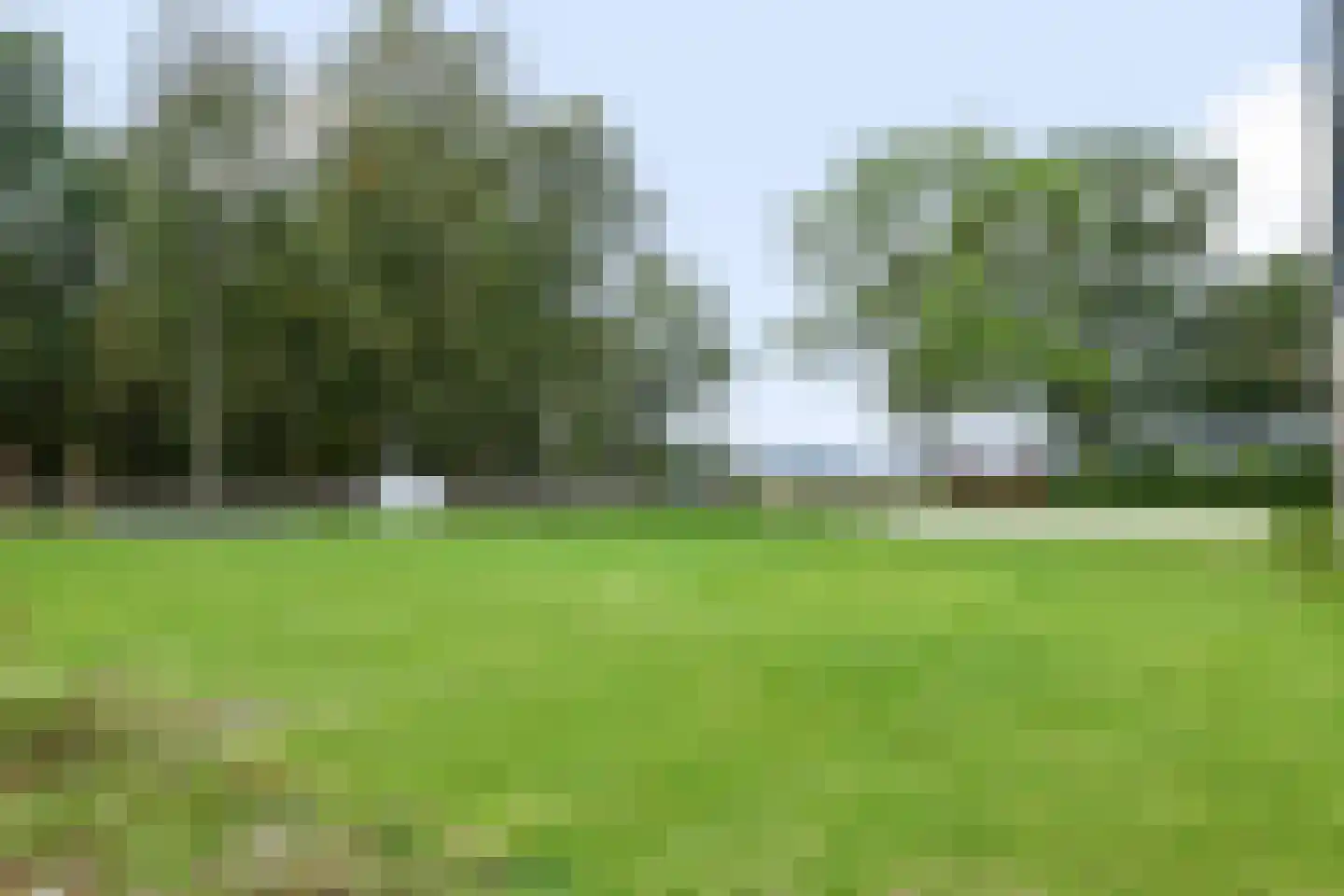 Noordersloot 35 Erica thumbnail 15