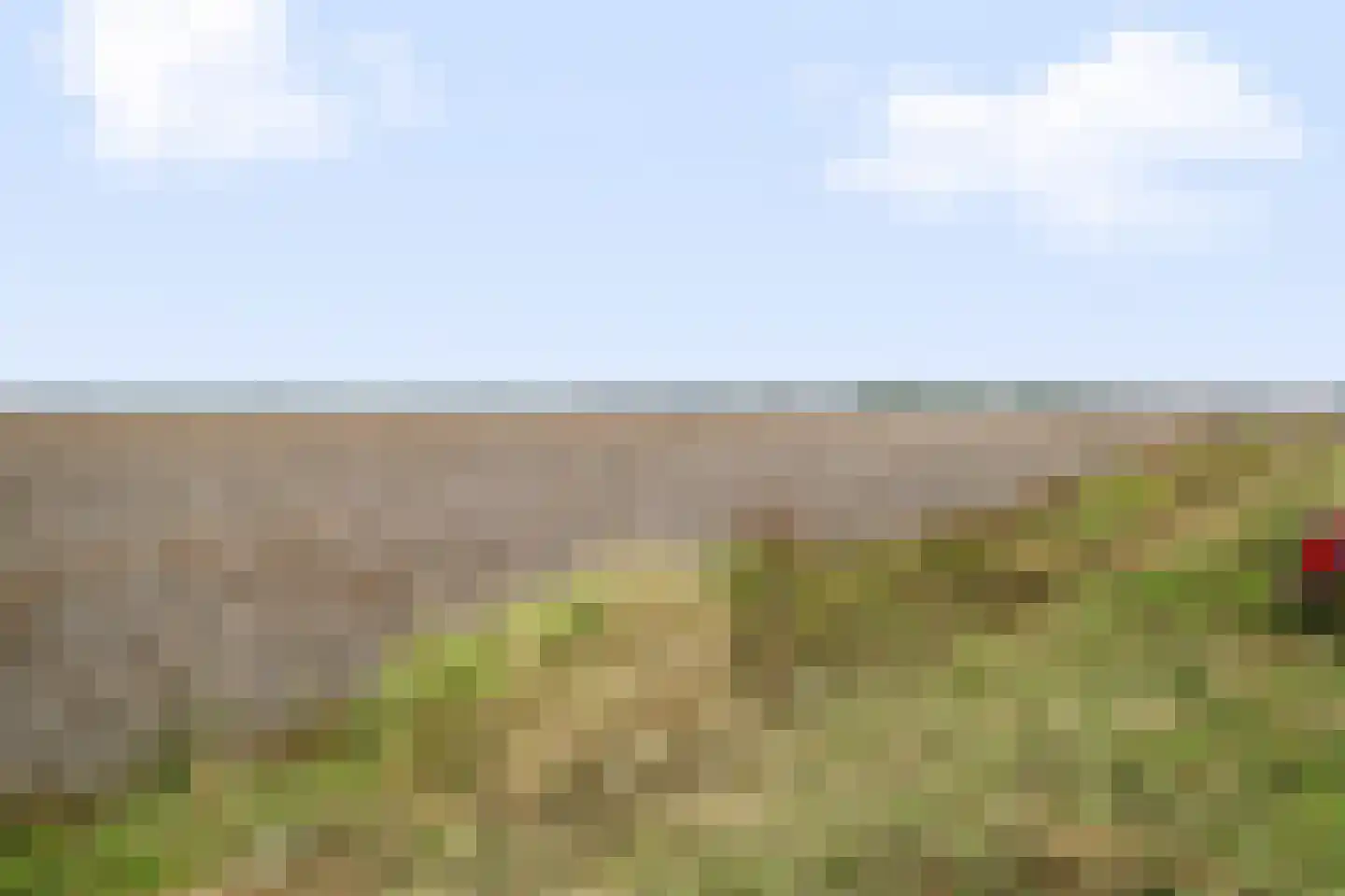 Noordersloot 35 Erica thumbnail 66