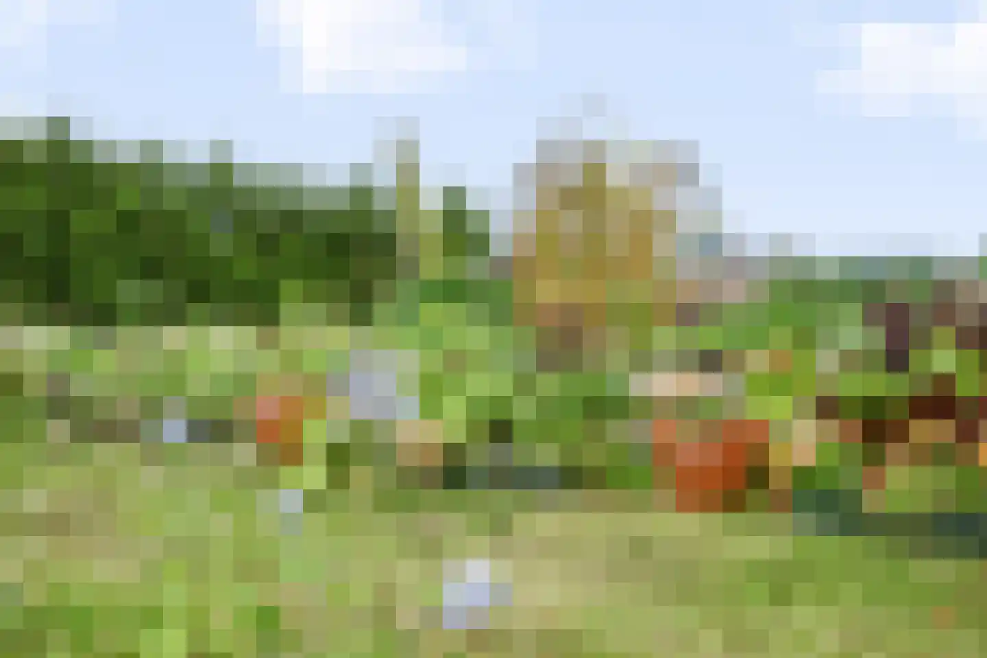 Noordersloot 35 Erica thumbnail 67