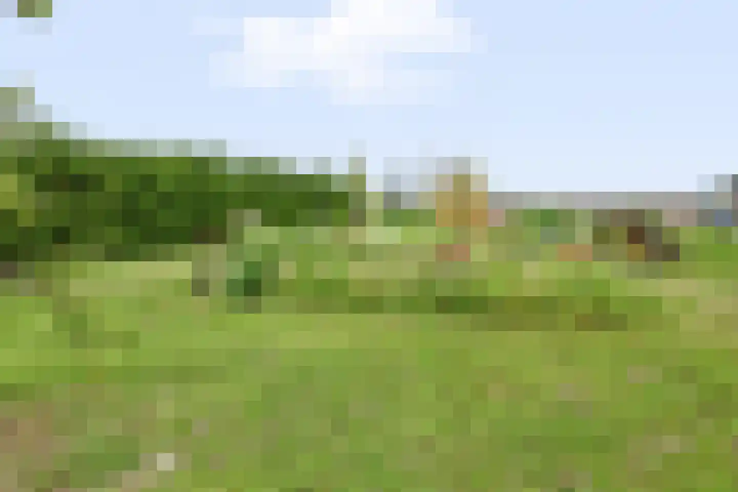 Noordersloot 35 Erica thumbnail 68