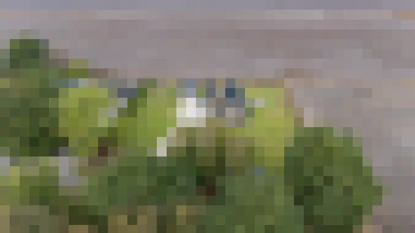 Noordersloot 35 Erica thumbnail 73