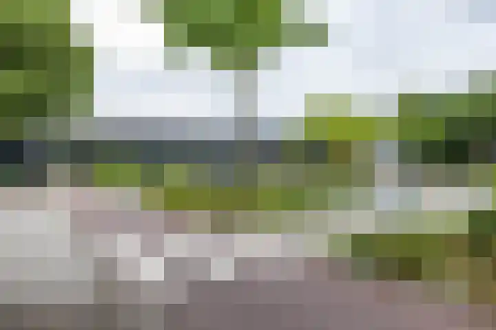 Noorderstationsstraat 31 Groningen thumbnail 35