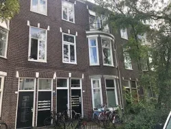 Logo Noorderstay in Tolbert