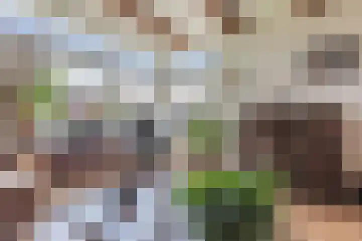 Noorderstraat 1 Buinerveen thumbnail 10