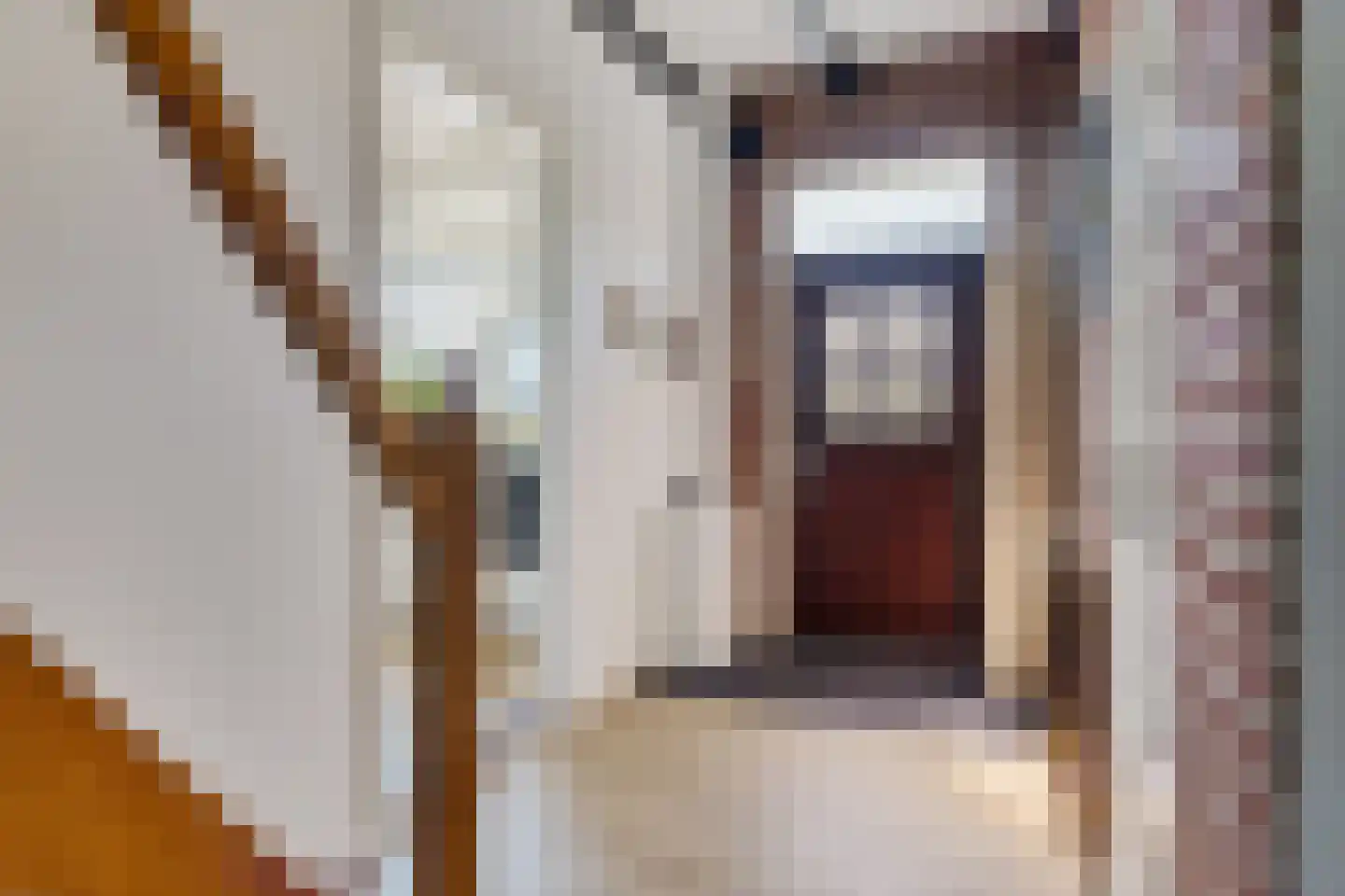 Noorderstraat 1 Buinerveen thumbnail 20