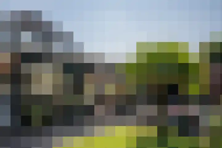 Noorderstraat 1 Buinerveen thumbnail 24
