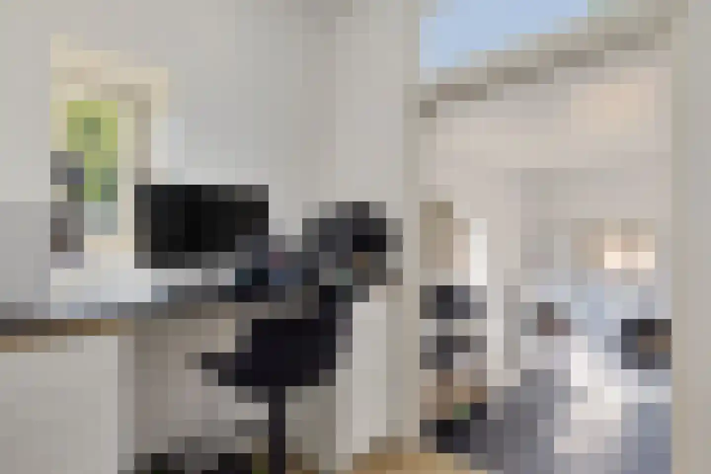 Noorderstraat 1 Buinerveen thumbnail 26