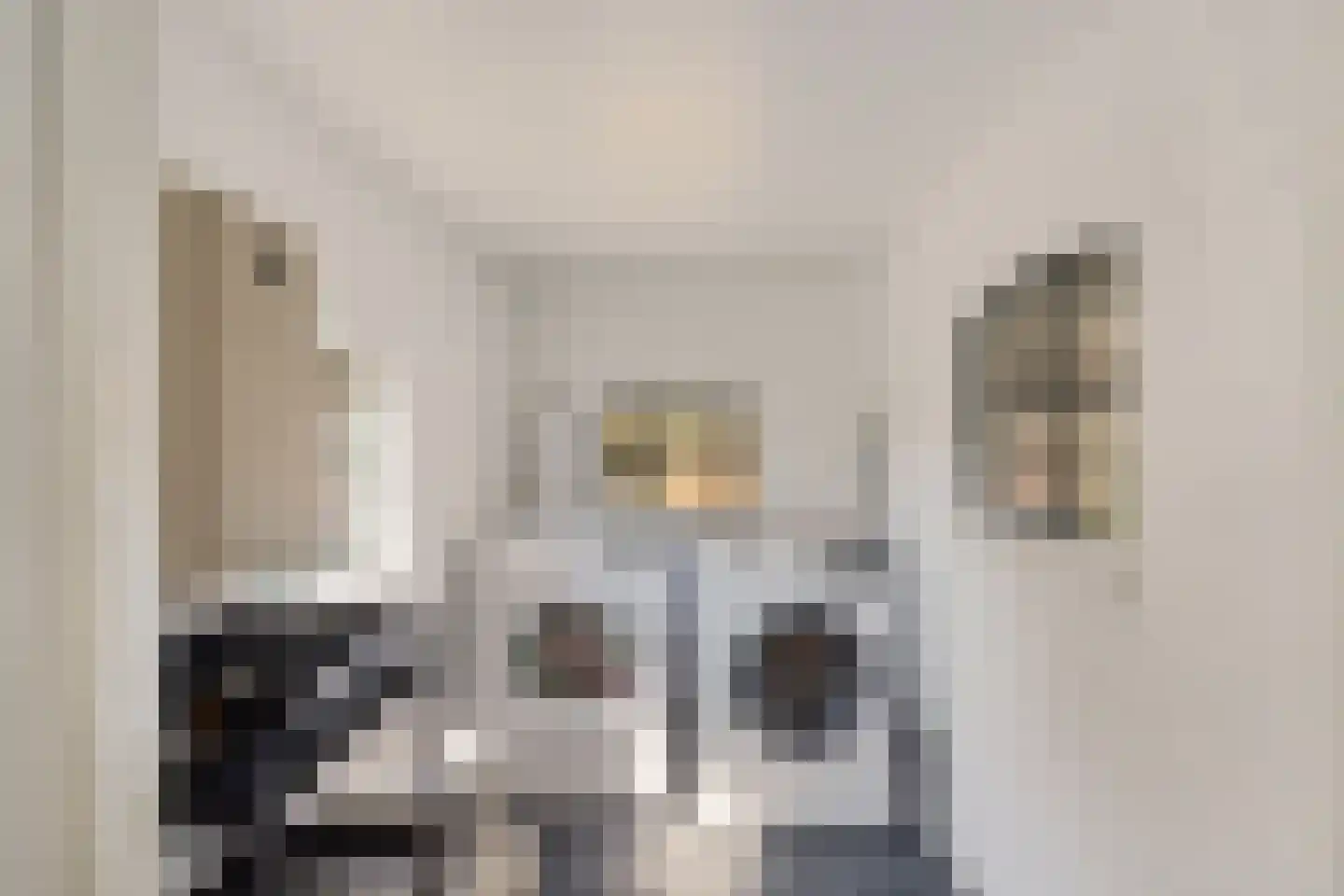 Noorderstraat 1 Buinerveen thumbnail 27