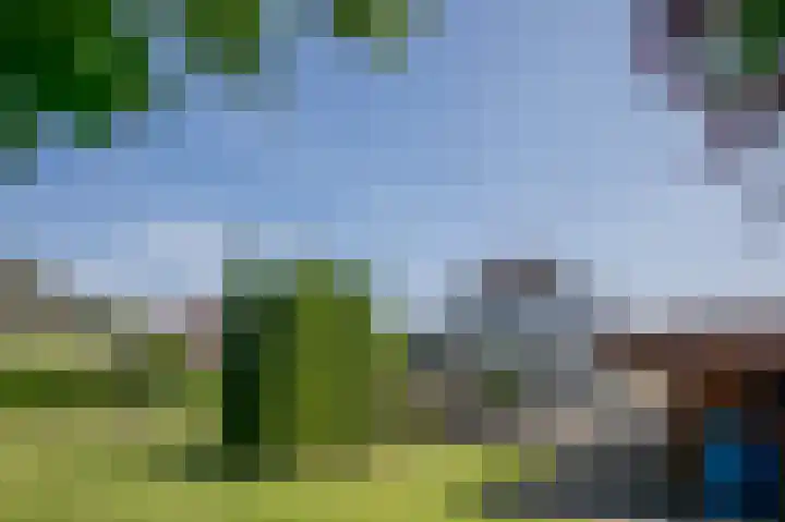 Noorderstraat 1 Buinerveen thumbnail 29