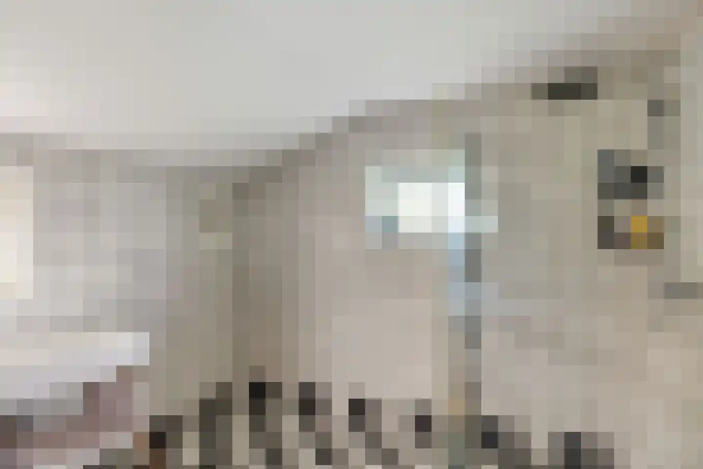Noorderstraat 1 Buinerveen thumbnail 30