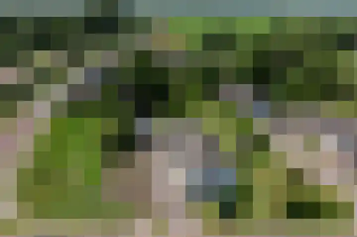Noorderstraat 1 Buinerveen thumbnail 31