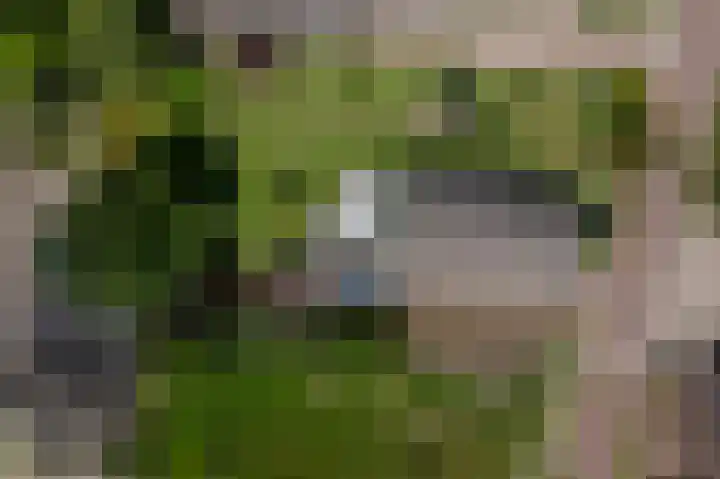 Noorderstraat 1 Buinerveen thumbnail 33