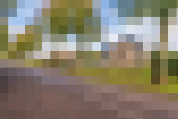 Noorderstraat 10 G Buinerveen thumbnail 5