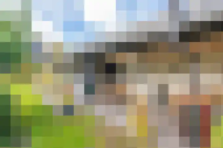 Noorderstraat 10 G Buinerveen thumbnail 61
