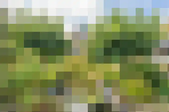 Noorderstraat 10 G Buinerveen thumbnail 67