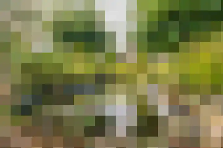 Noorderstraat 10 G Buinerveen thumbnail 69