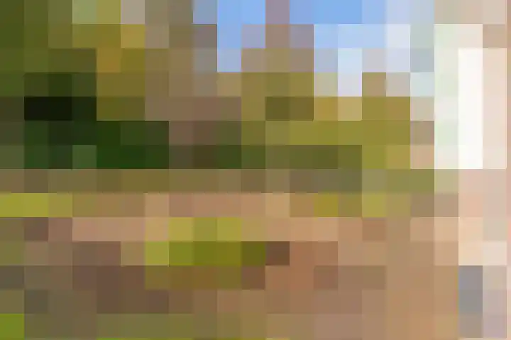 Noorderstraat 10 G Buinerveen thumbnail 9