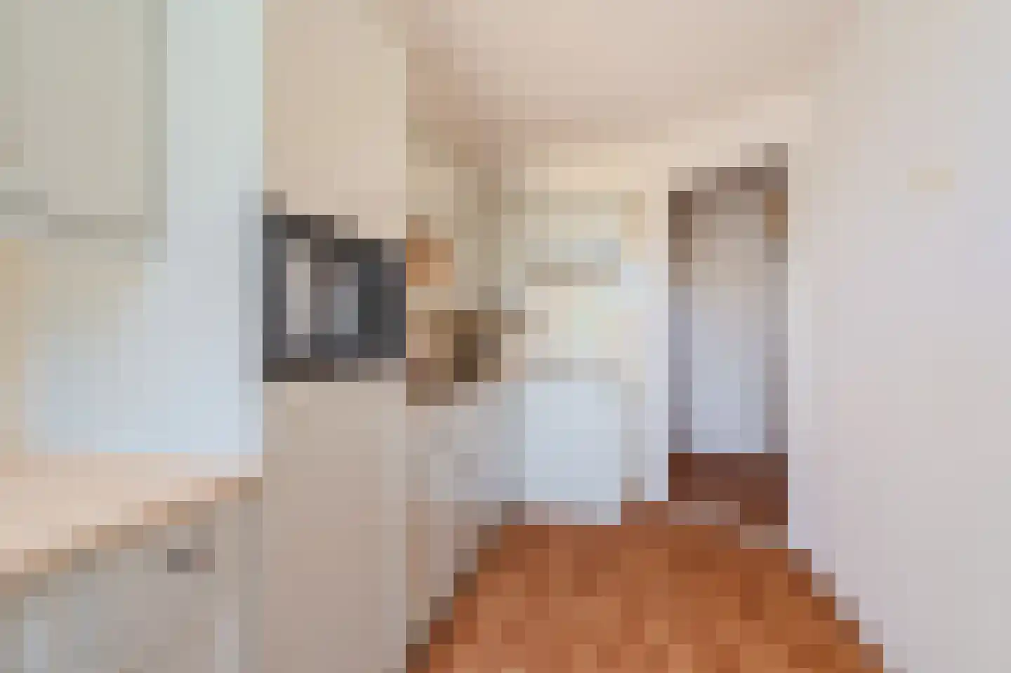Noorderstraat 112 Sappemeer thumbnail 16