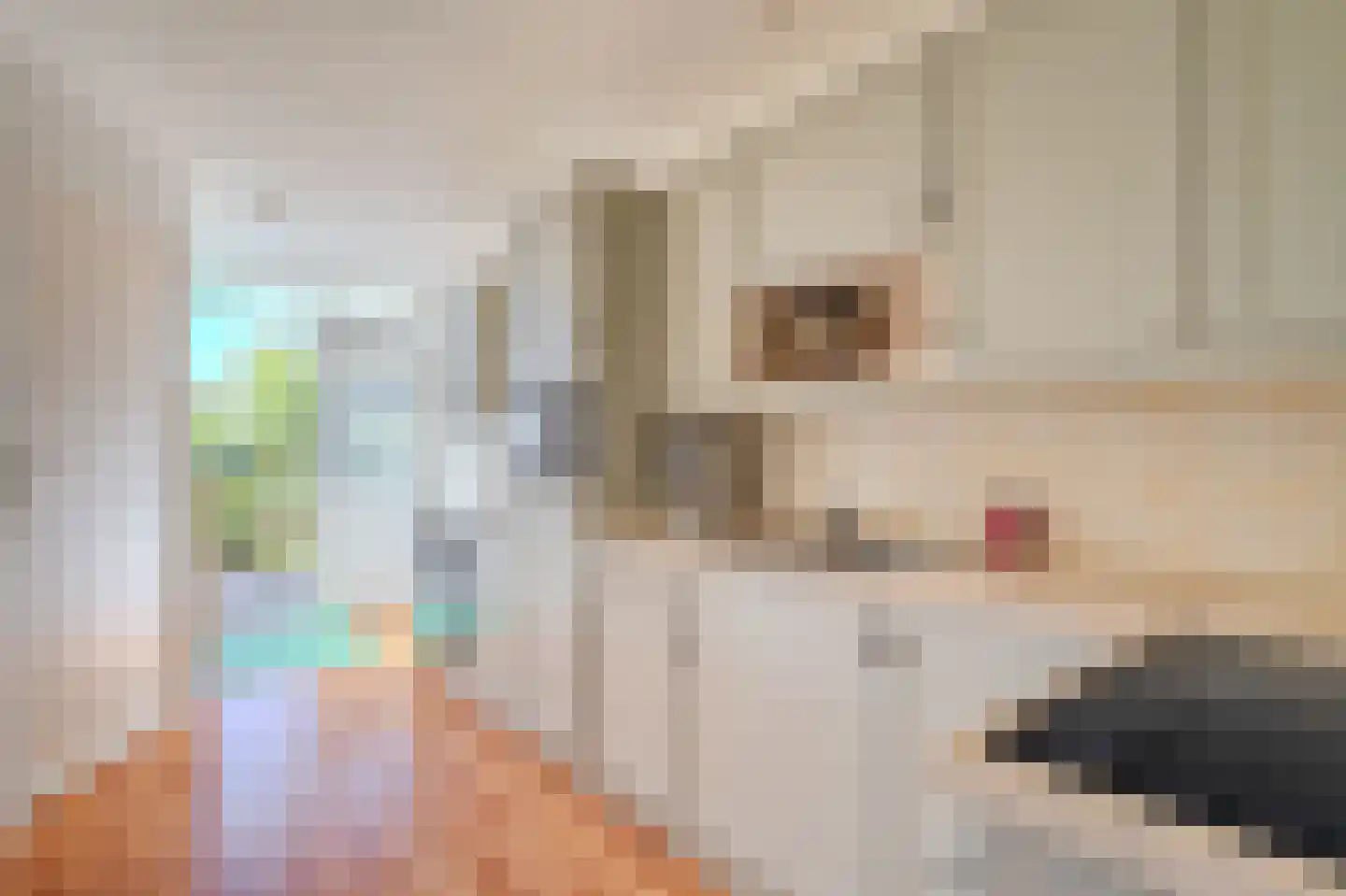 Noorderstraat 112 Sappemeer thumbnail 19