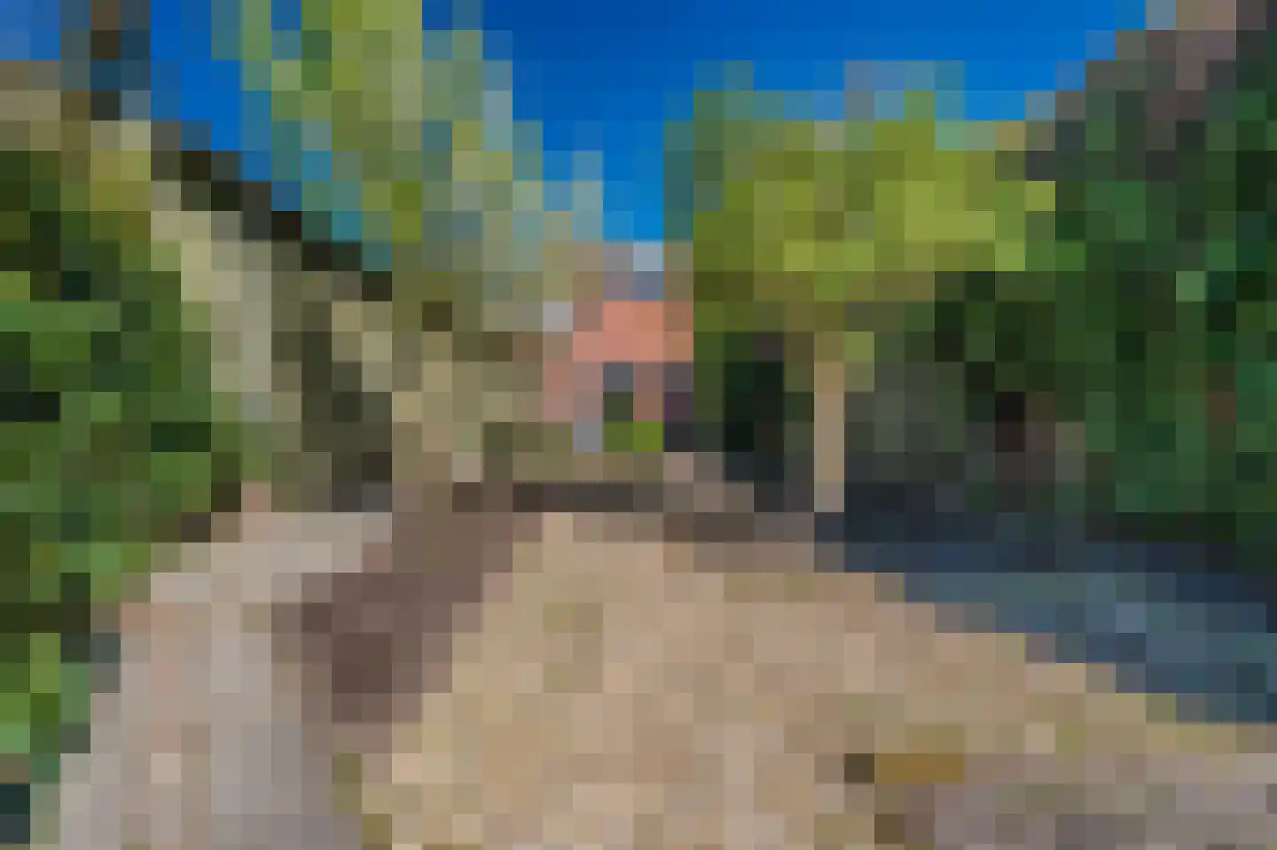 Noorderstraat 112 Sappemeer thumbnail 40