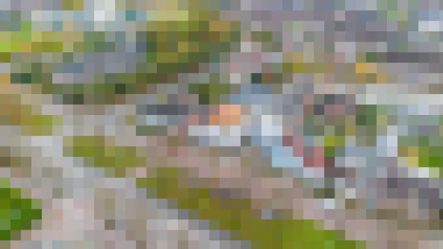 Noorderstraat 122 Sappemeer thumbnail 10