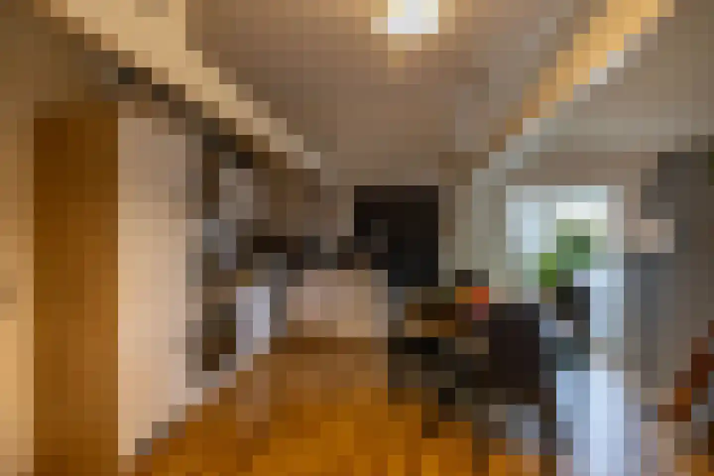 Noorderstraat 122 Sappemeer thumbnail 13