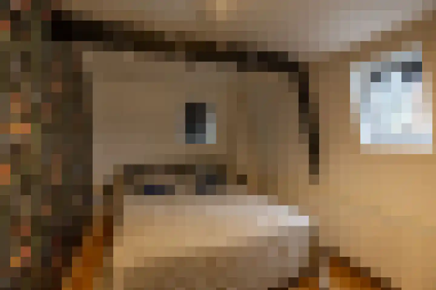 Noorderstraat 122 Sappemeer thumbnail 16
