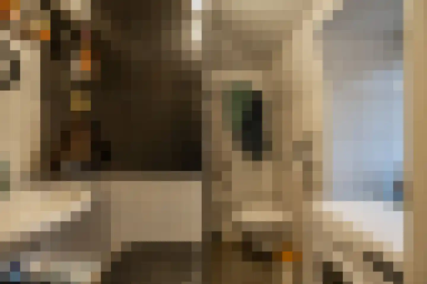 Noorderstraat 122 Sappemeer thumbnail 18