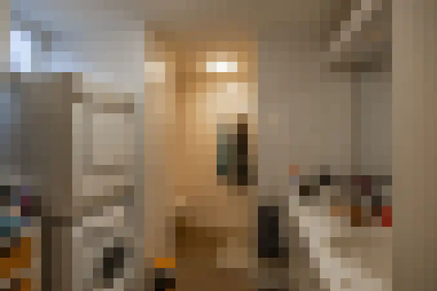 Noorderstraat 122 Sappemeer thumbnail 23