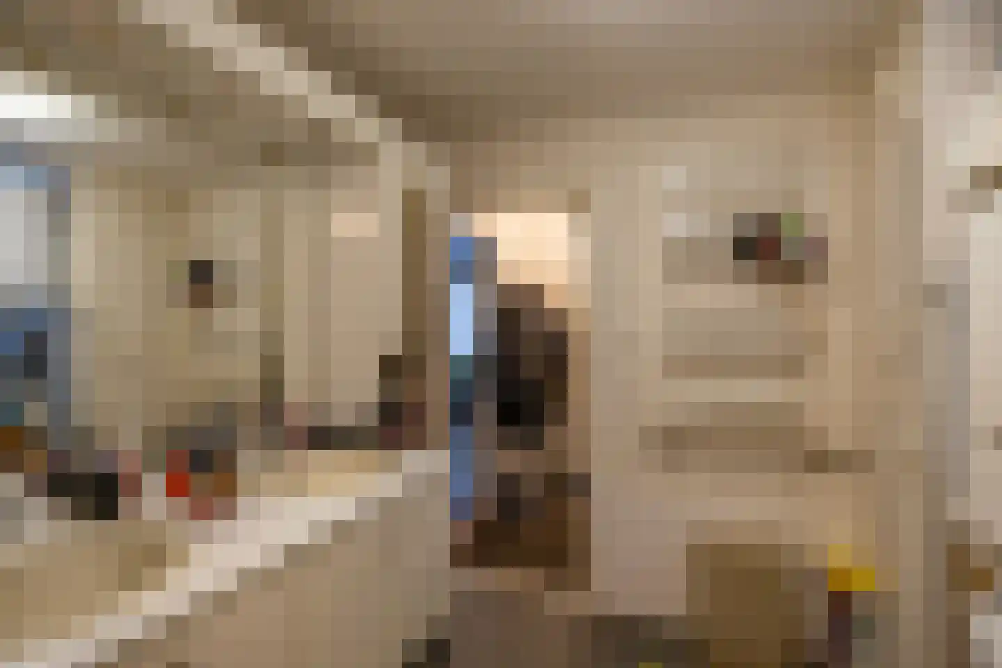 Noorderstraat 122 Sappemeer thumbnail 26