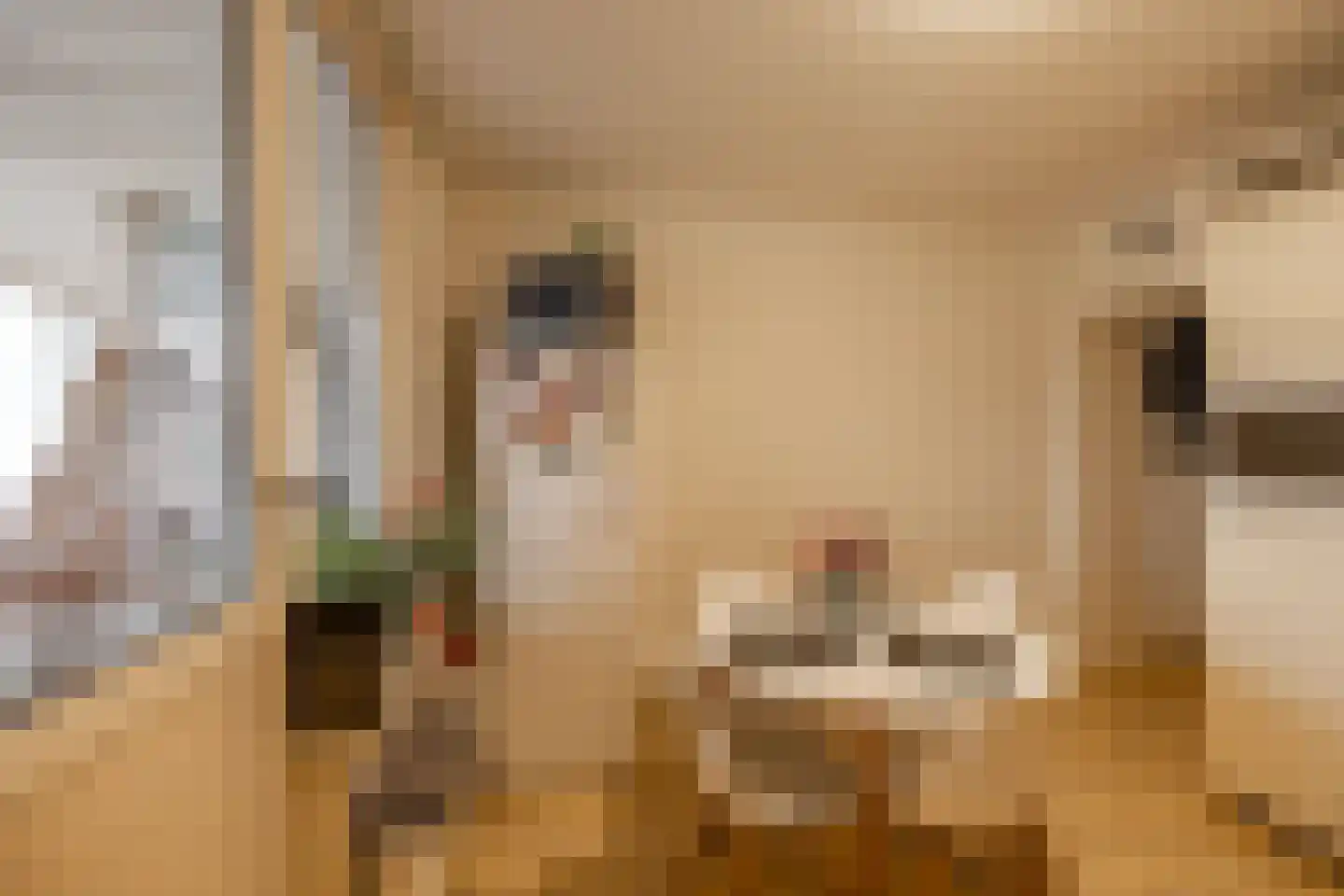 Noorderstraat 122 Sappemeer thumbnail 30