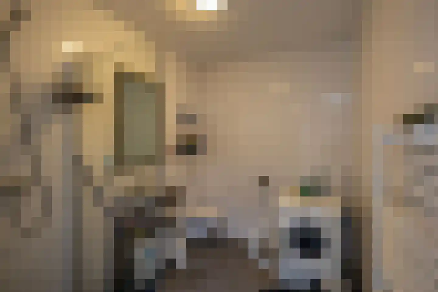 Noorderstraat 122 Sappemeer thumbnail 37