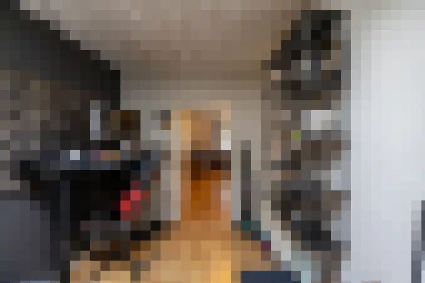 Noorderstraat 122 Sappemeer thumbnail 45
