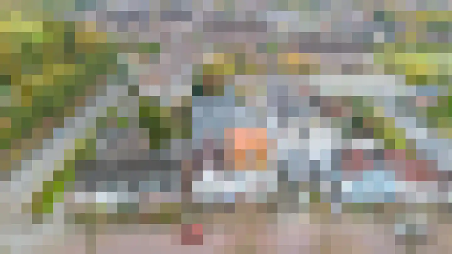 Noorderstraat 122 Sappemeer thumbnail 6