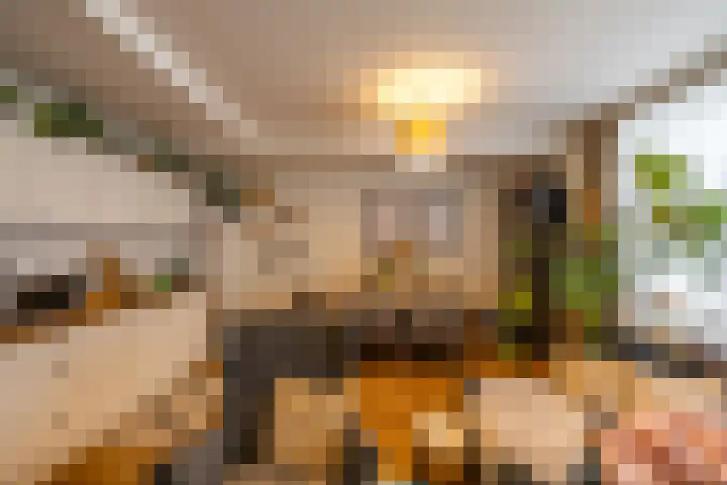 Noorderstraat 122 Sappemeer thumbnail 65