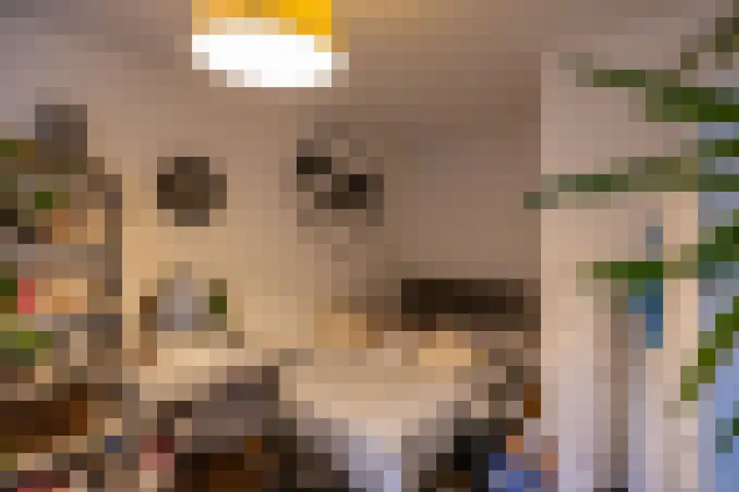 Noorderstraat 122 Sappemeer thumbnail 68