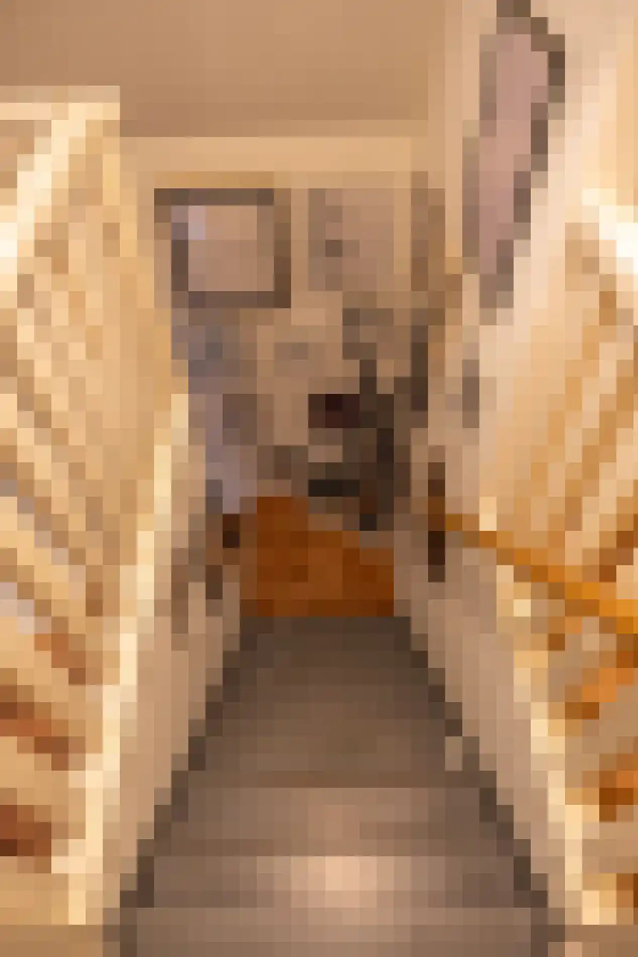 Noorderstraat 122 Sappemeer thumbnail 75
