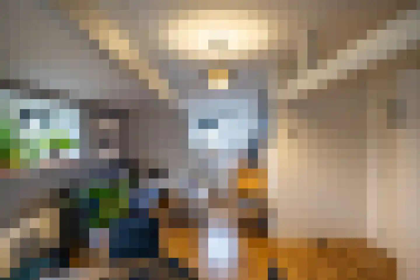 Noorderstraat 122 Sappemeer thumbnail 77