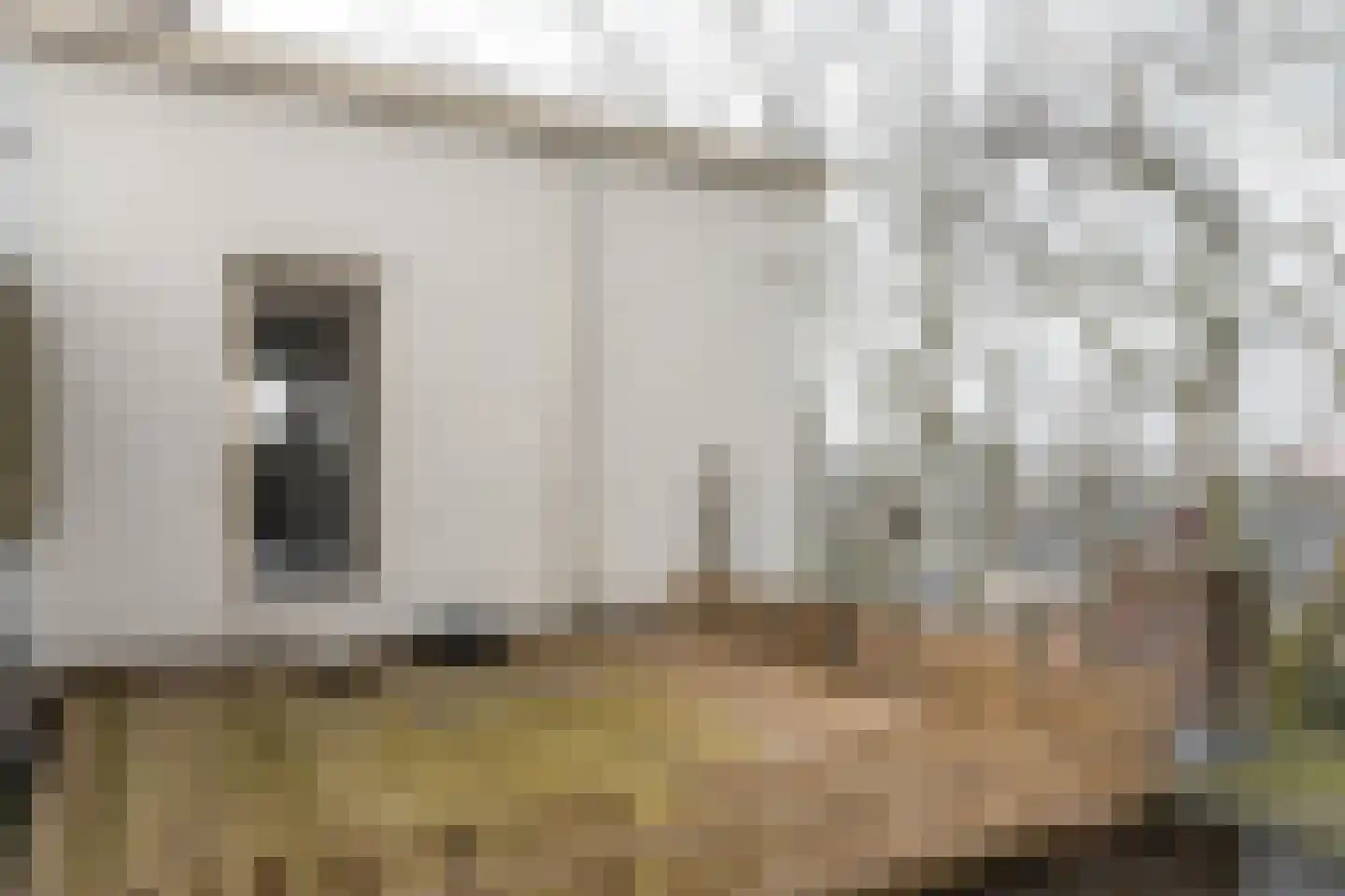 Noorderstraat 127 Sappemeer thumbnail 28