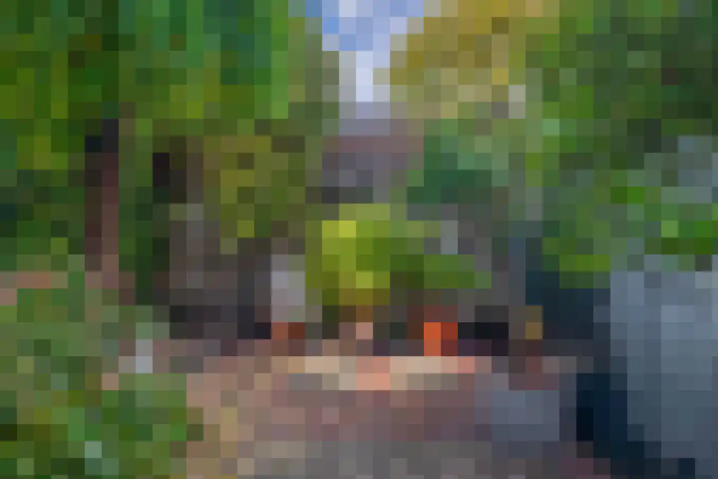 Noorderstraat 13 Krimpen aan den IJssel thumbnail 12