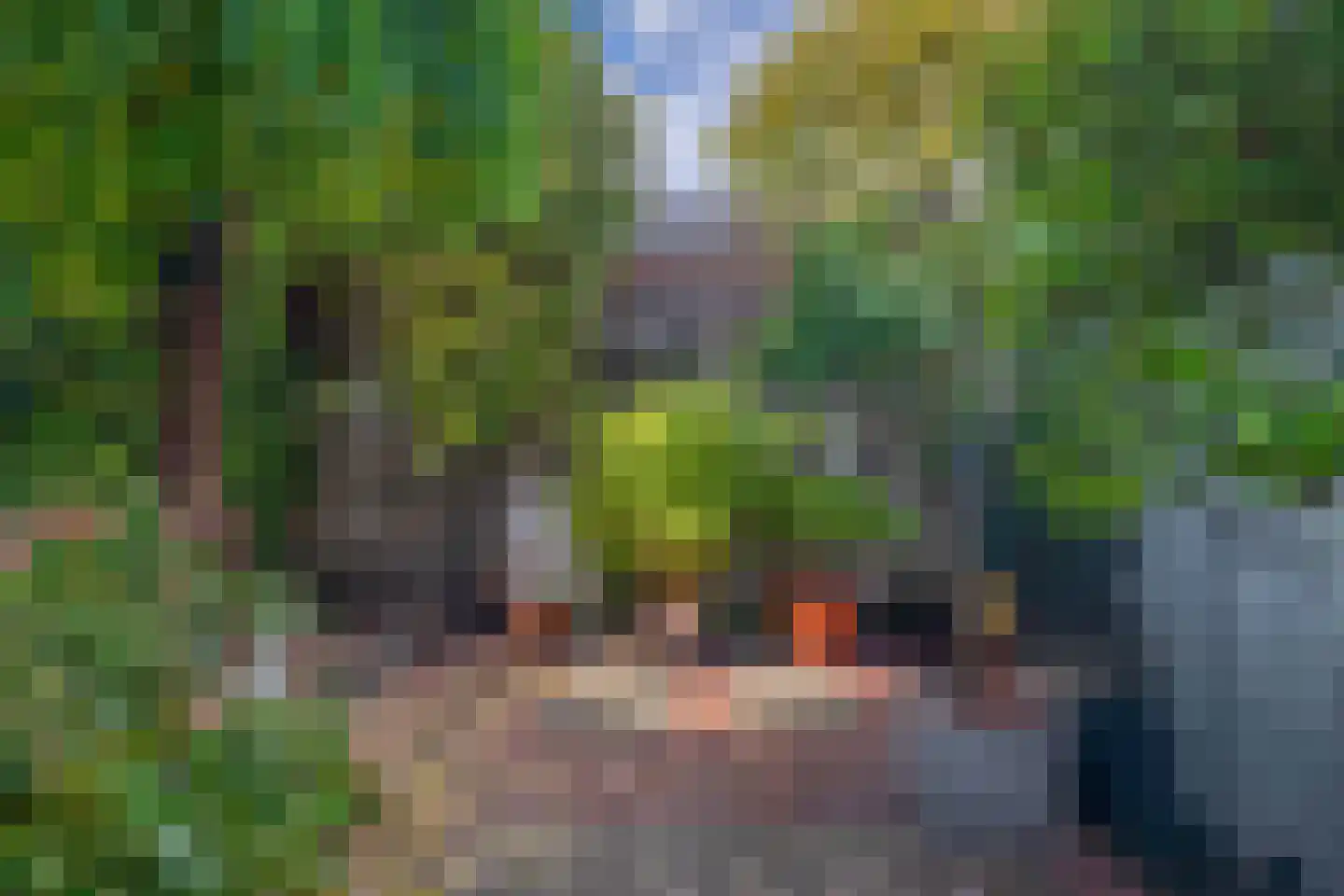 Noorderstraat 13 Krimpen aan den IJssel thumbnail 35