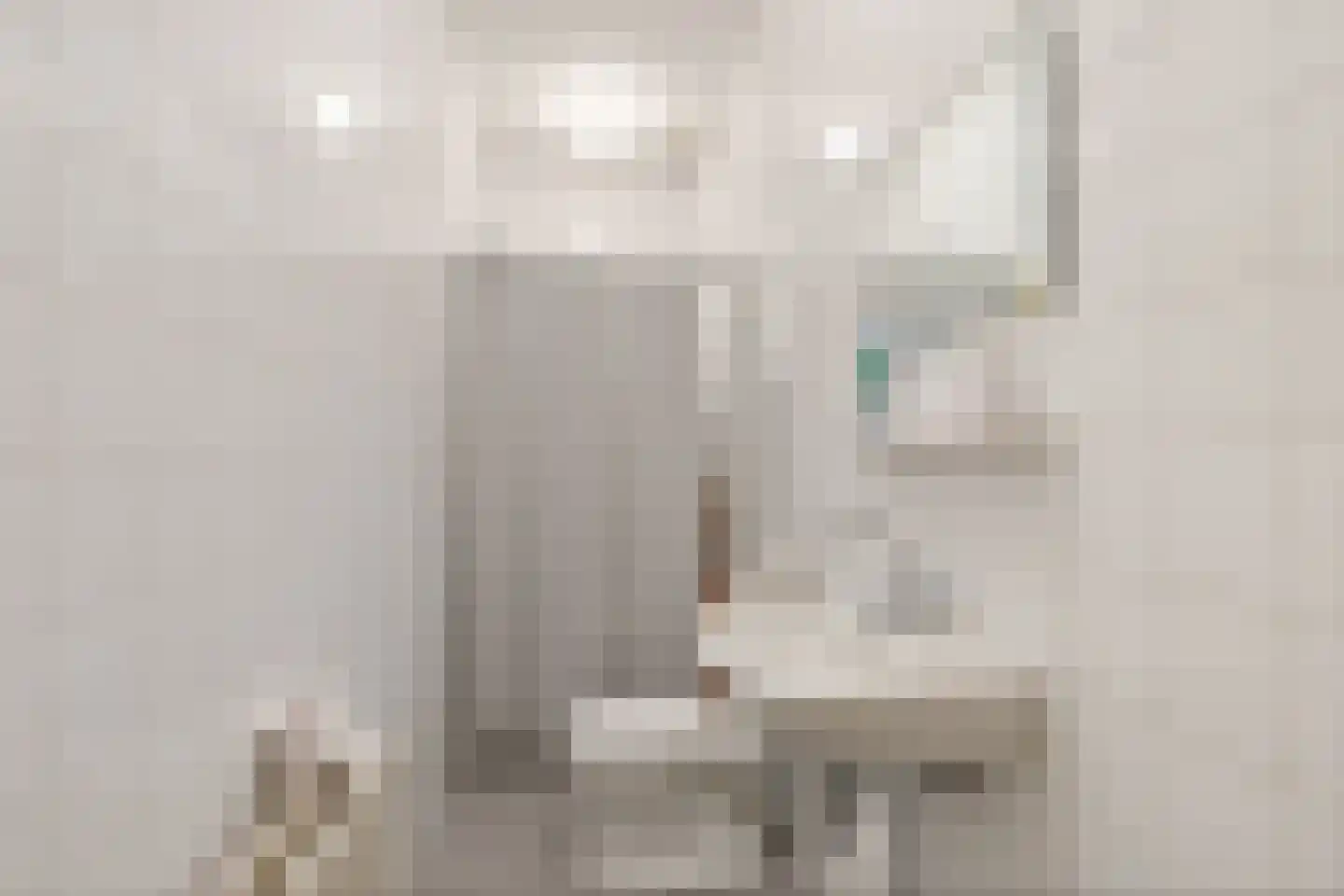 Noorderstraat 13 Warffum thumbnail 31