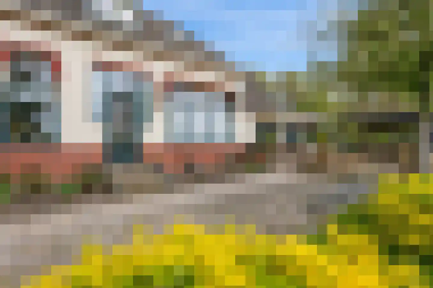 Noorderstraat 14 Noordbroek thumbnail 50