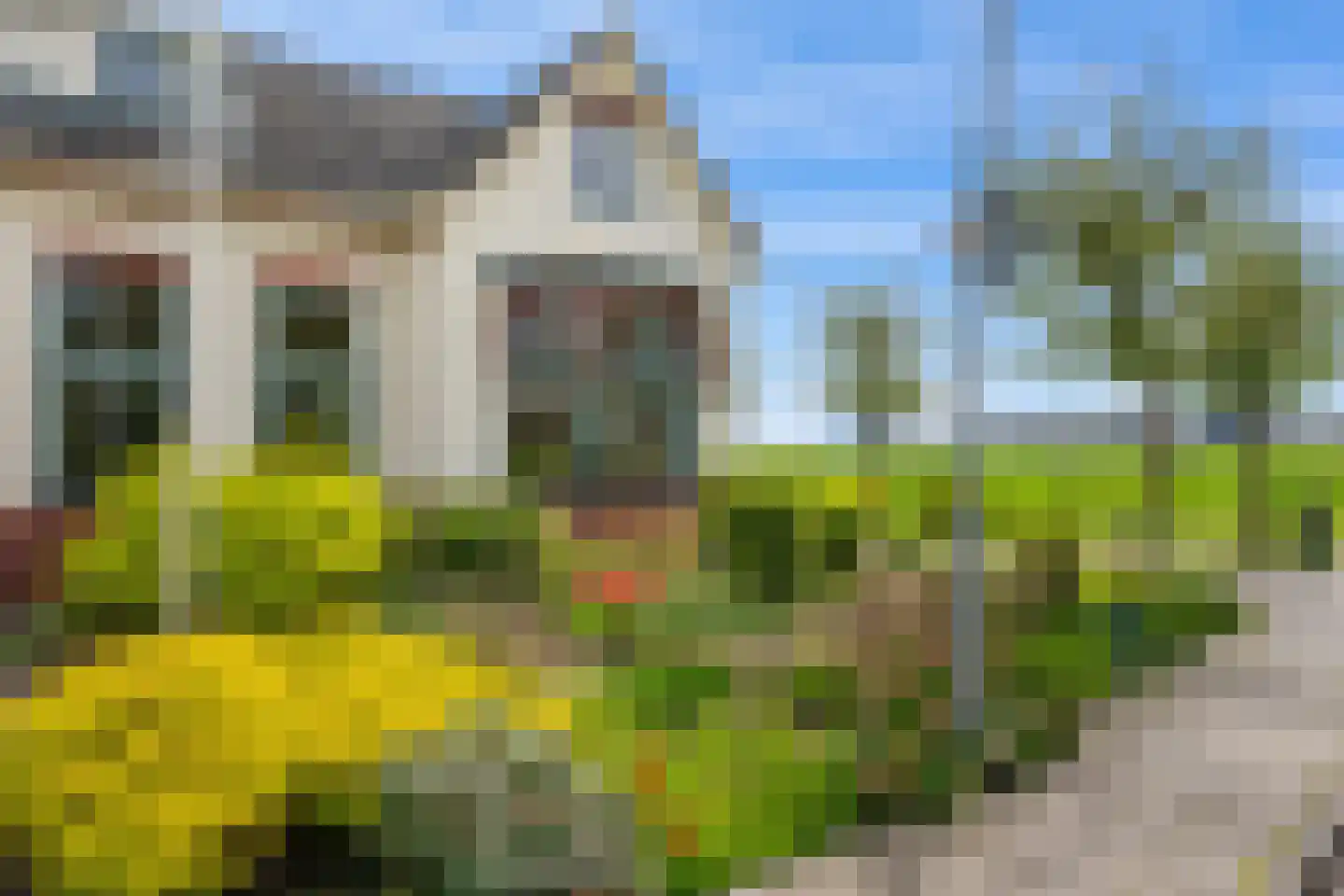 Noorderstraat 14 Noordbroek thumbnail 51