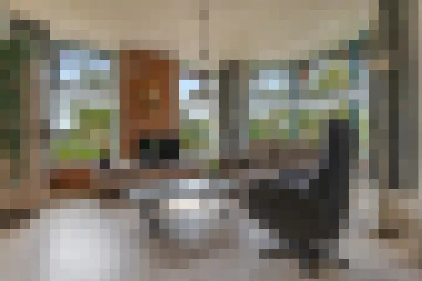Noorderstraat 14 Noordbroek thumbnail 7