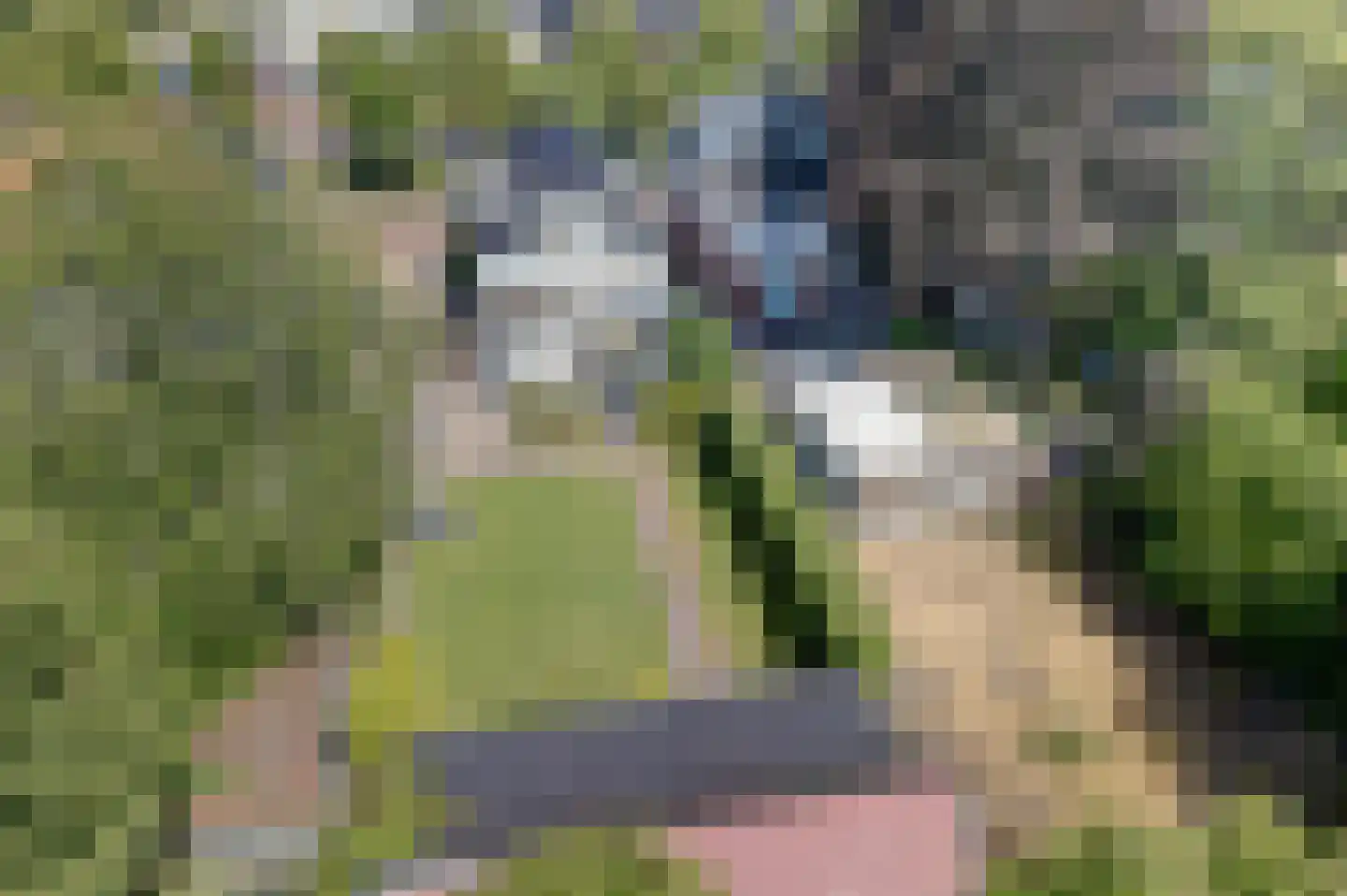 Noorderstraat 160 Sappemeer thumbnail 10