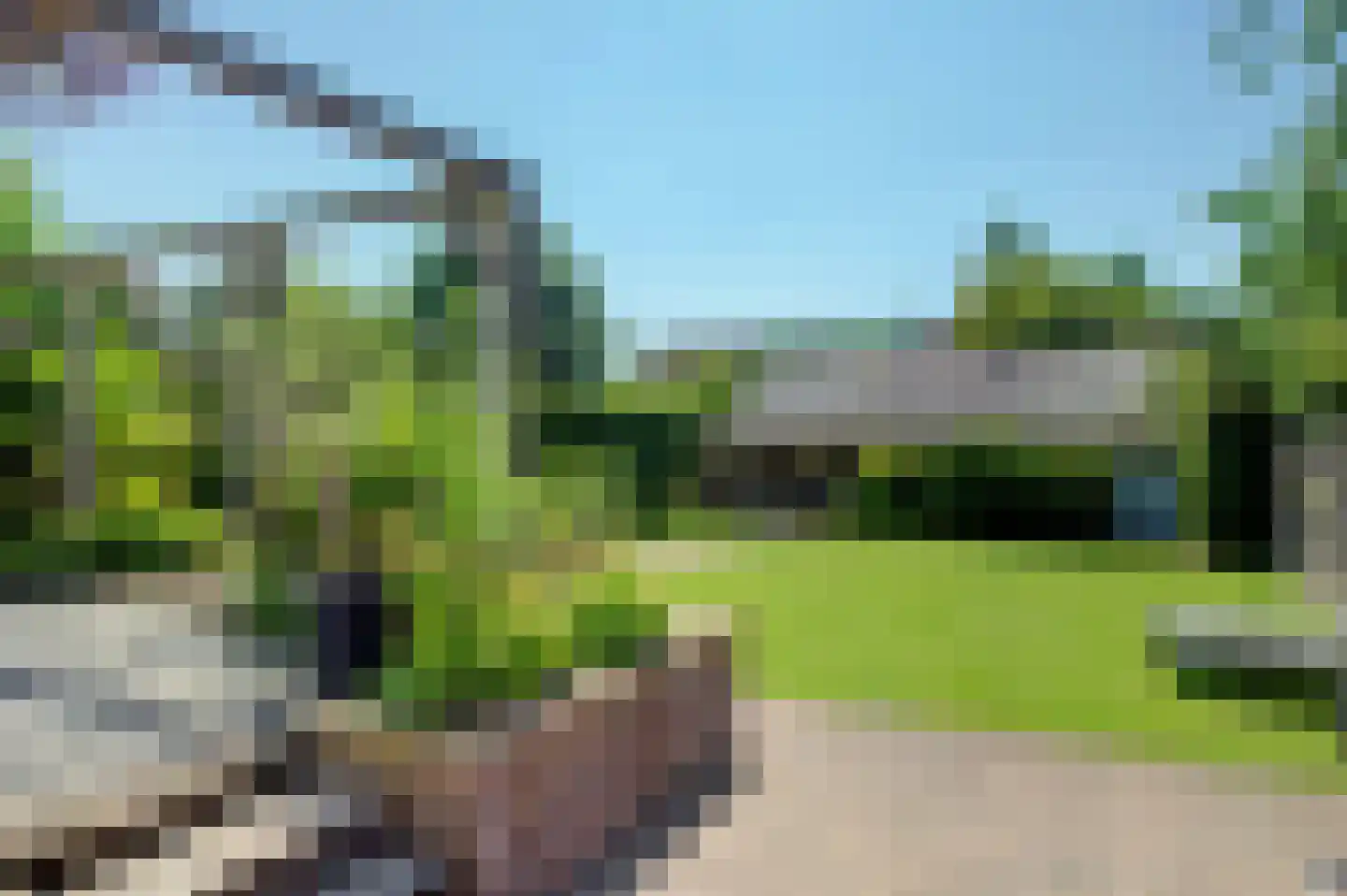 Noorderstraat 160 Sappemeer thumbnail 13