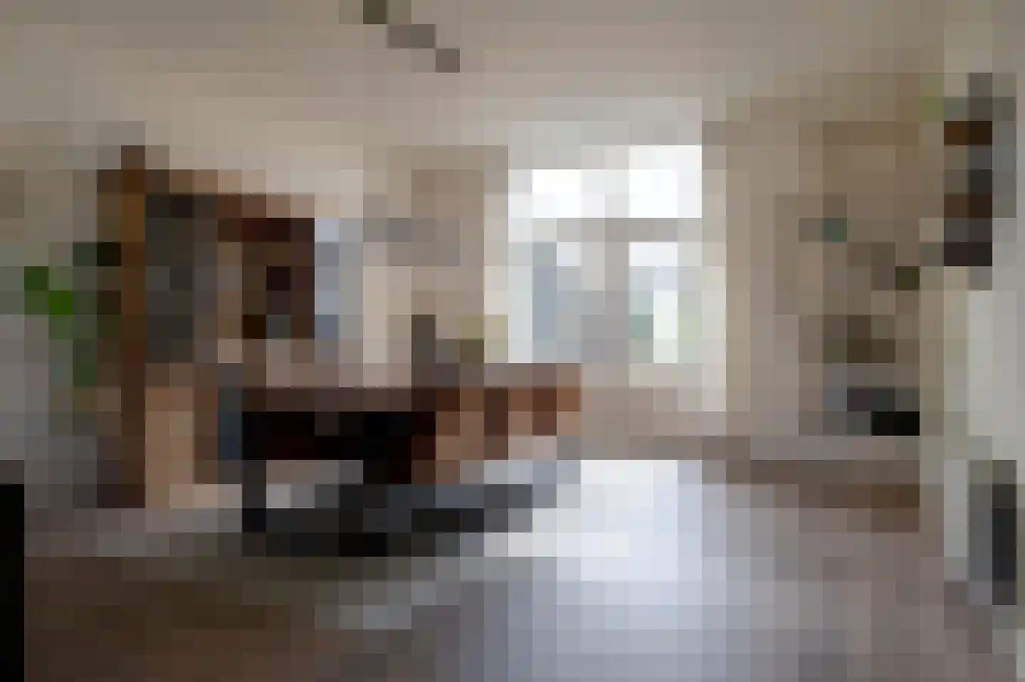Noorderstraat 160 Sappemeer thumbnail 33