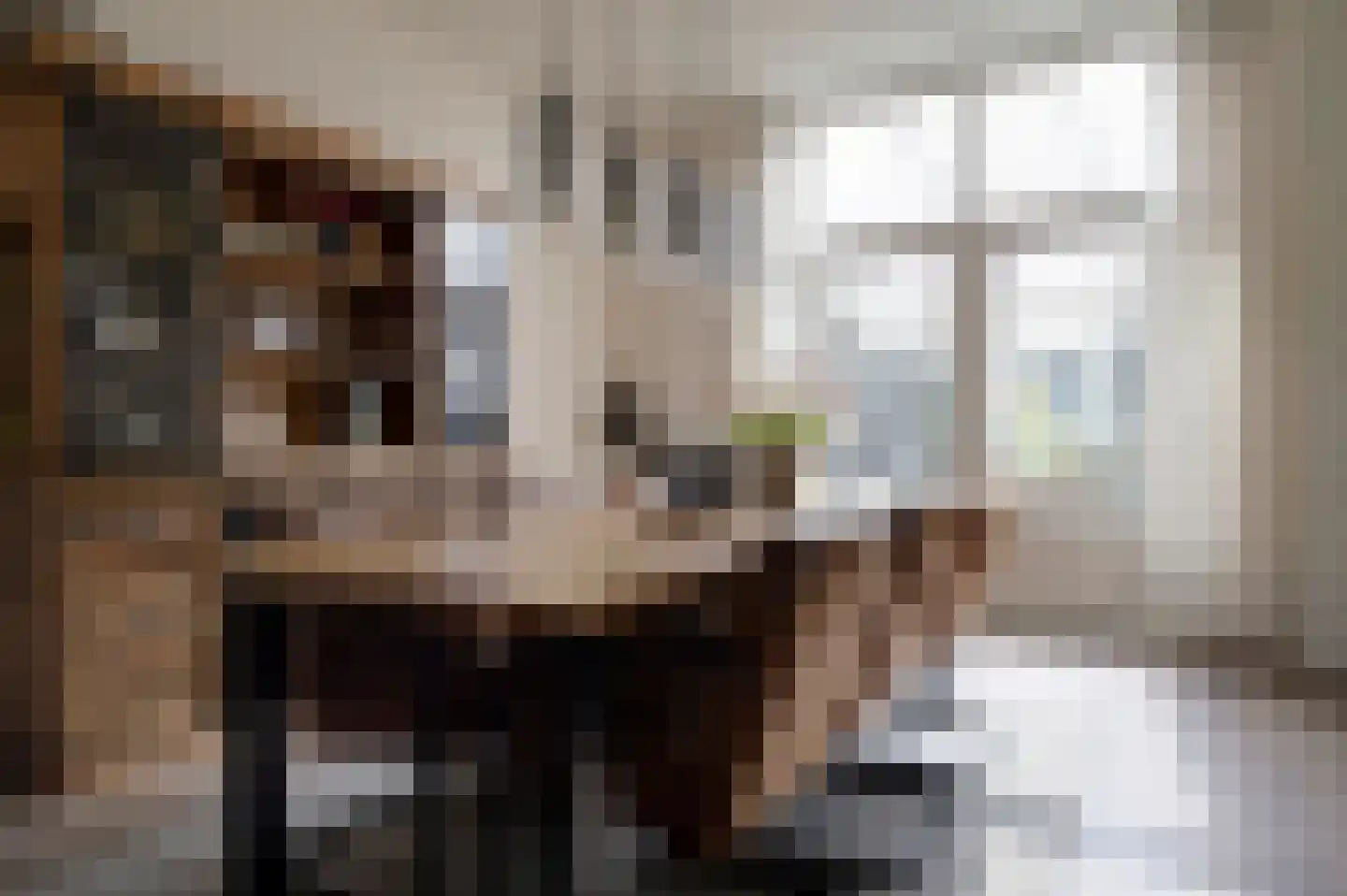 Noorderstraat 160 Sappemeer thumbnail 34