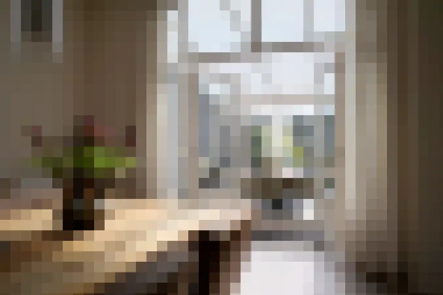 Noorderstraat 160 Sappemeer thumbnail 37